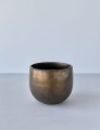 RUSTY GOLD cup180 ml (1)